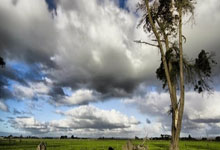 多多28：羽毛球——马来西亚公开赛：韩悦无缘四强.